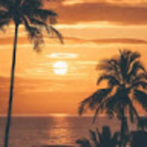 Meet your Posher, Brooklyn